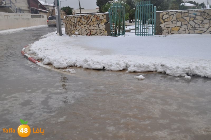 iceman lud 1213 (86).JPG